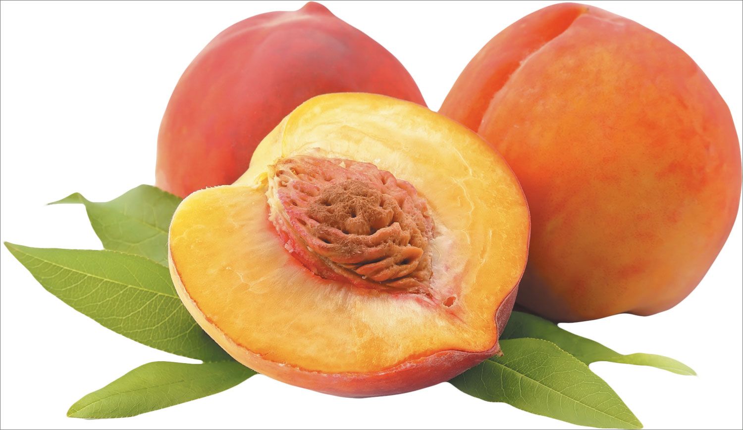 Peach Tree Leaves Benefits