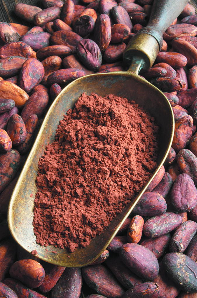 cocoa powder good for blood flow