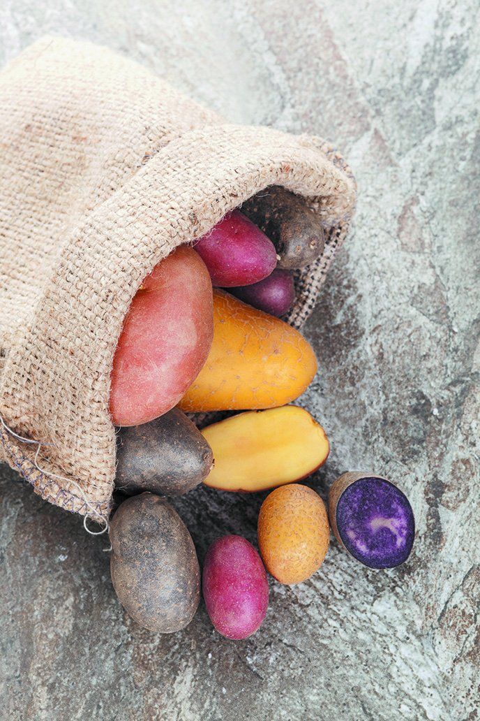 What Potatoes Have the Highest Glycemic Index? - Tufts Health & Nutrition  Letter