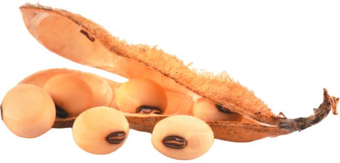 p1c15p72ip7ata491kqr1sbqc426