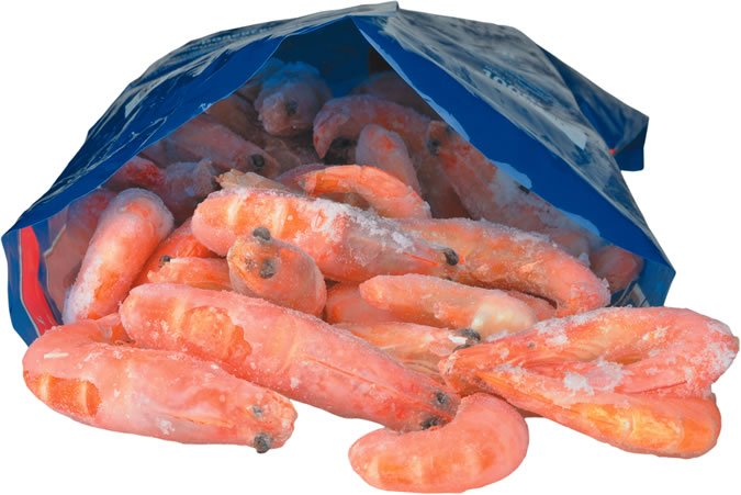 Shrimp
