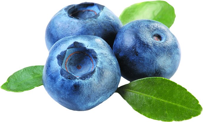 blueberries images