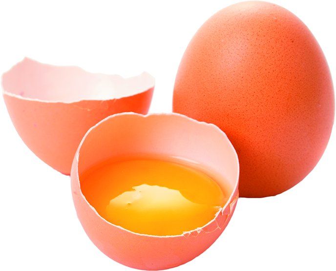 Worried About Diabetes or Your Heart? Eggs Not Harmful - Tufts