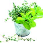 Maximizing Flavor with Herbs and Spices