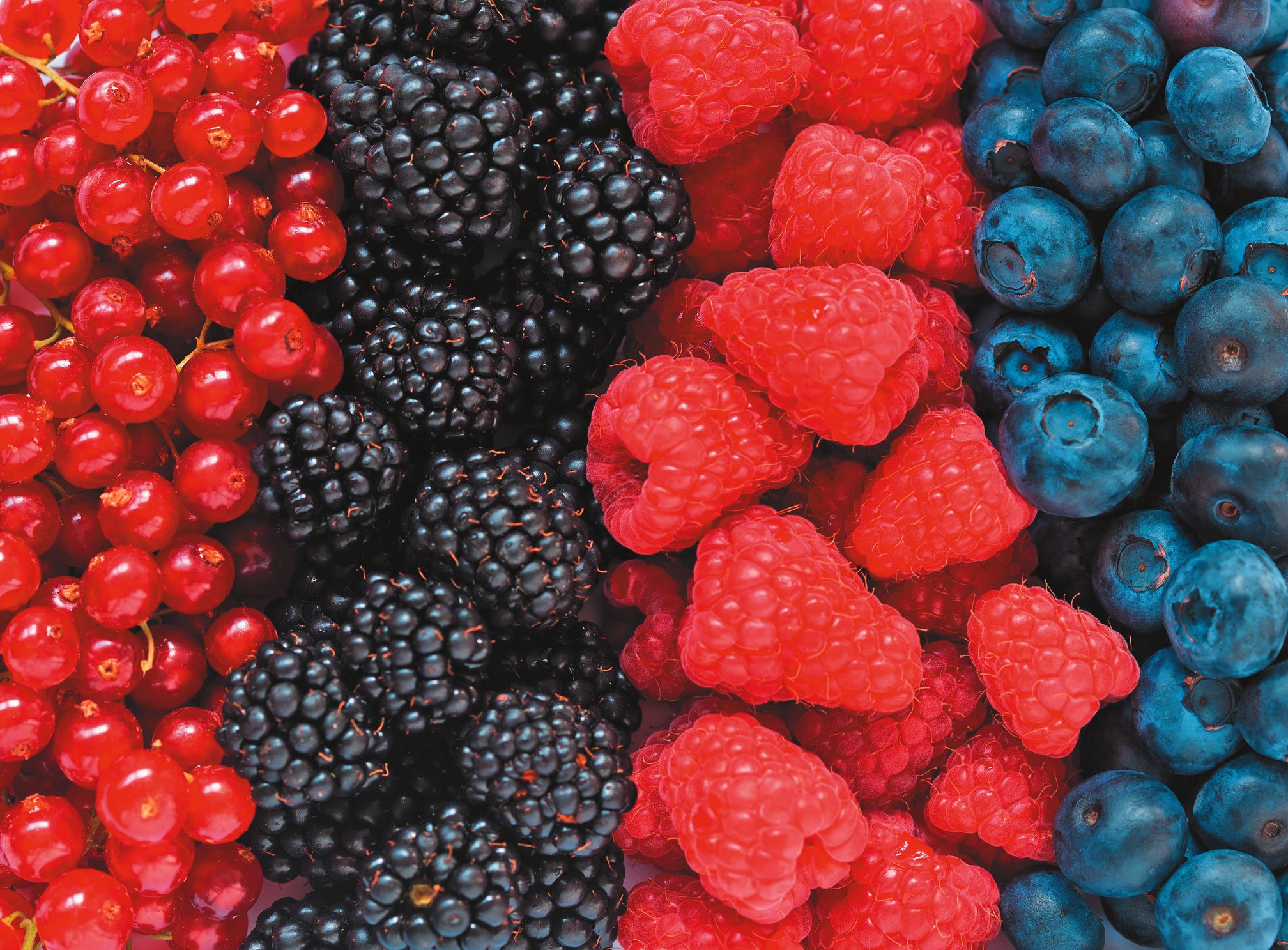 Berries