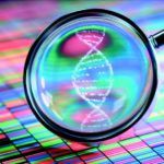 Personalized Nutrition