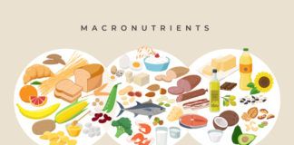 macronutrients