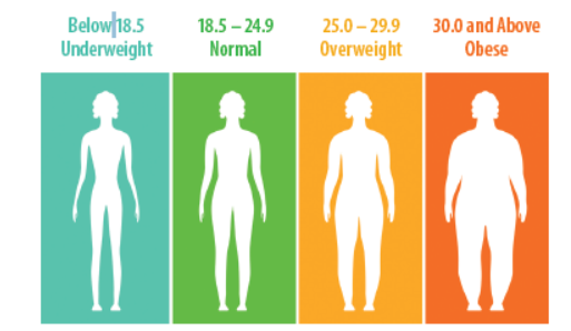 Body Mass Index (BMI), Healthy Weight, Nutrition, and Physical Activity