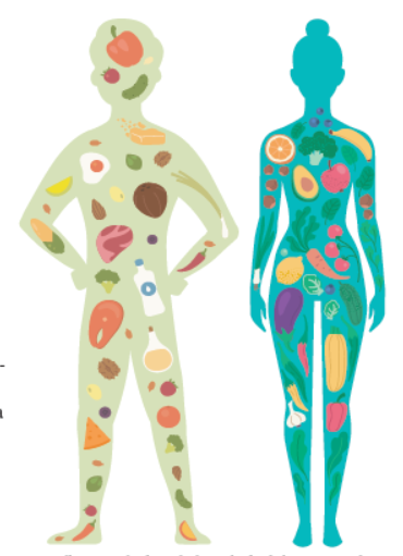 Food For Healthy Skin Tufts Health Nutrition Letter