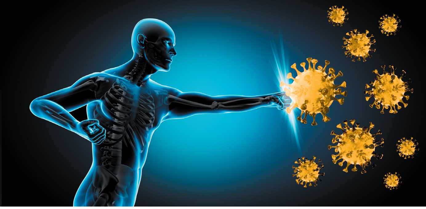 المناعة الفطرية و المناعة المكتسبة  Immunity