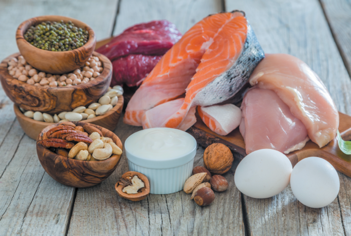 In addition to animal sources, dietary protein is found in plants like beans, nuts/seeds, and whole grains. Most Americans regularly consume more than the recommended amount of protein.