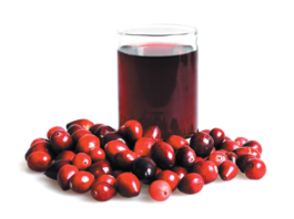 Drinking cranberry juice can’t cure a urinary tract infection, but 100 percent juice might help prevent recurrent, uncomplicated infections.