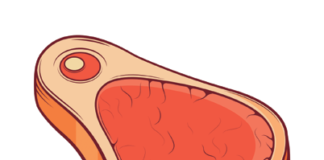 Resistance training helps you get stronger, whether you eat extra meat or not.