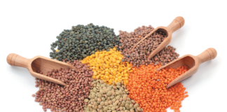Lentils come in many different colors and sizes. All are delicious, healthful, versatile, and easy to cook.