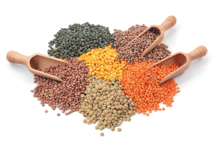 Lentils come in many different colors and sizes. All are delicious, healthful, versatile, and easy to cook.