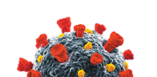 A well-nourished population would have been less severely impacted by COVID-19. Personal and policy changes can help us be better prepared in the future.