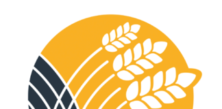 Researchers have demonstrated that whole grain intake is linked to better cardiometabolic health.