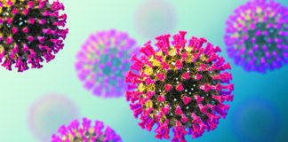 Good nutrition can help prevent and treat some conditions associated with the worst COVID-19 outcomes.