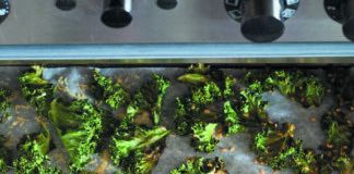 Kale chips