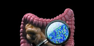 Trillions of microbes live in our bodies, most in the lower part of our gut. Scientists are just beginning to understand the complex and important role they play in our health—and how the dietary choices we make can influence their makeup.