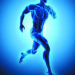 There’s a lot of misinformation going around about how to fuel your body for physical performance and recovery. Get the facts.