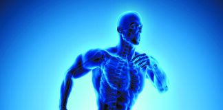 There’s a lot of misinformation going around about how to fuel your body for physical performance and recovery. Get the facts.