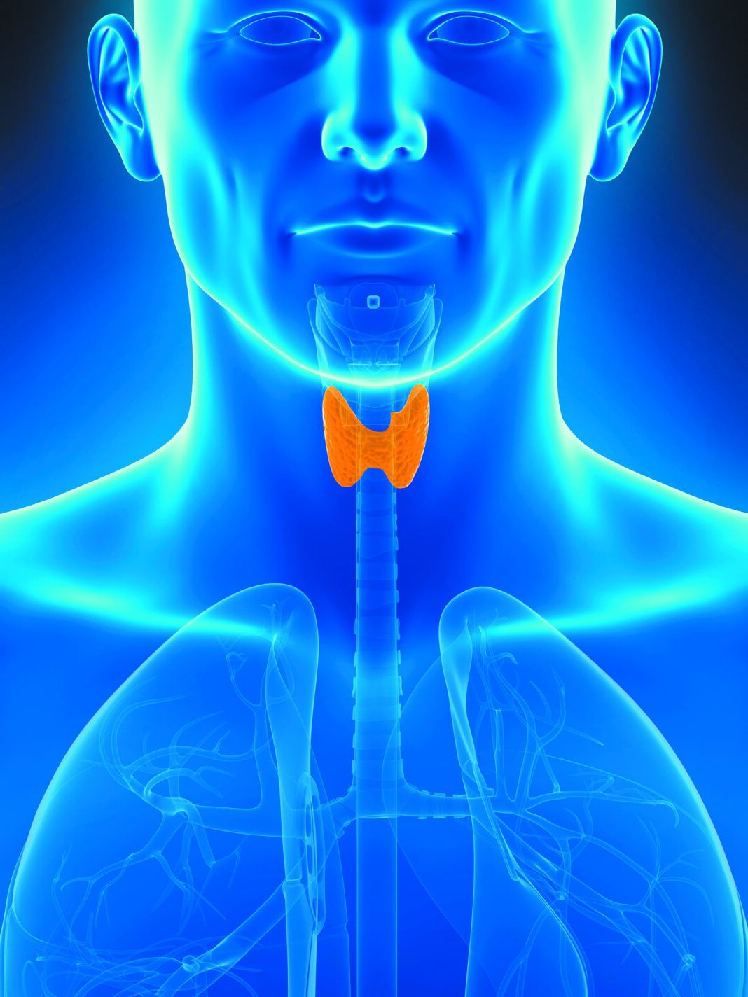 diet-and-your-thyroid-tufts-health-nutrition-letter