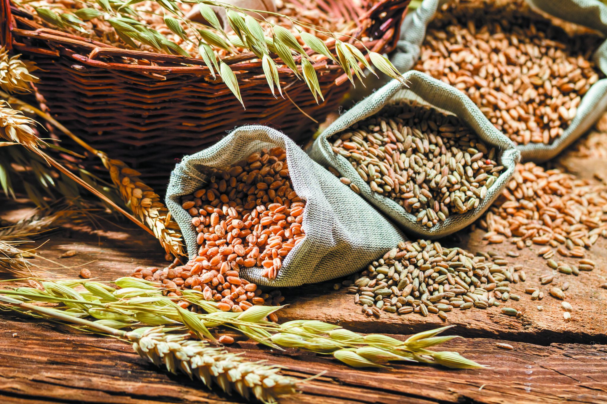 Should You Avoid Grains? Tufts Health & Nutrition Letter