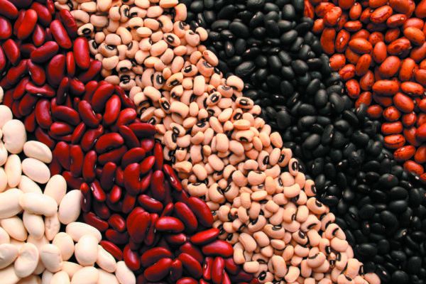 Get to Know Shell Beans - Tufts Health & Nutrition Letter