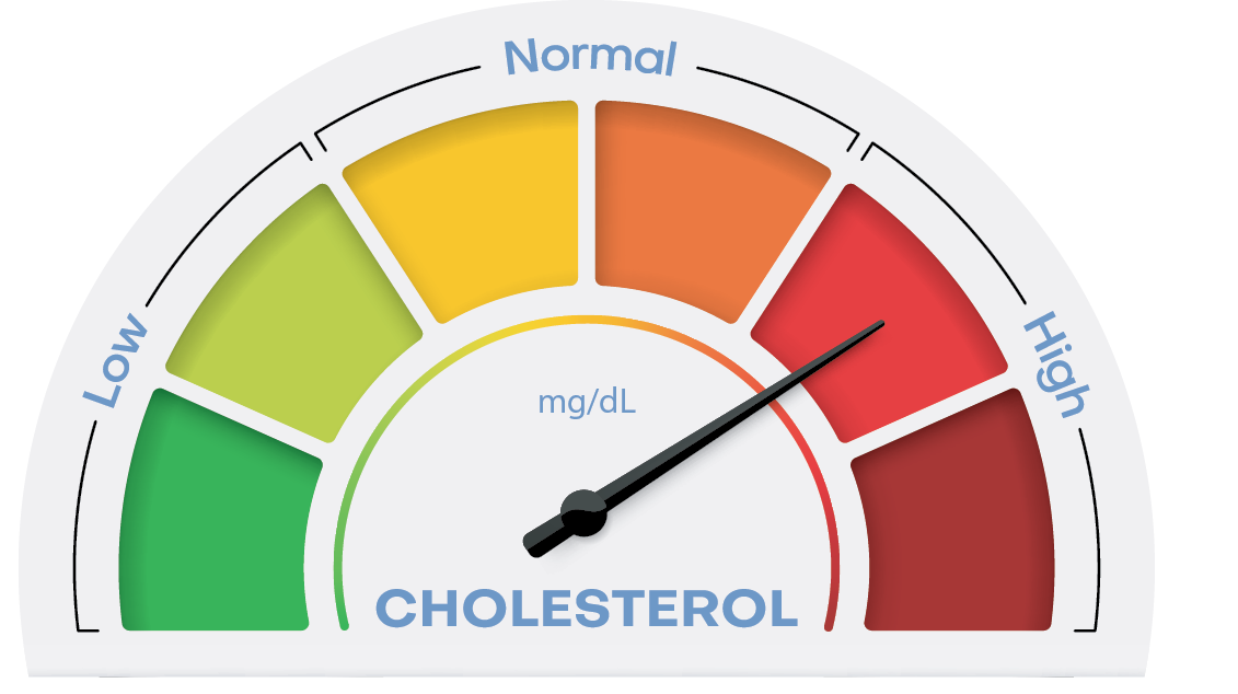 Cholesterol Explained Tufts Health Nutrition Letter