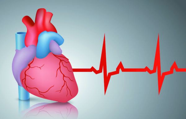 What’s Your ASCVD Risk? - Tufts Health & Nutrition Letter