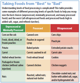 Real vs. Fake: The Consequences of Our Food Choices - Understanding Ag