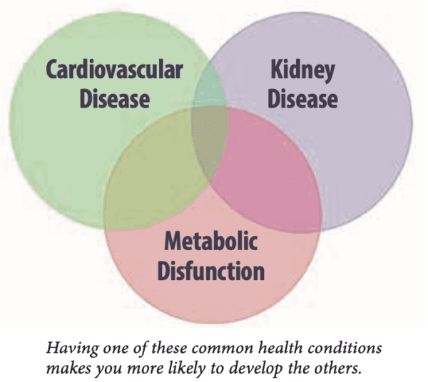 Are You at Risk for CKM Syndrome? - Tufts Health & Nutrition Letter