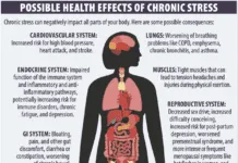 obesity is a lifestyle disease essay