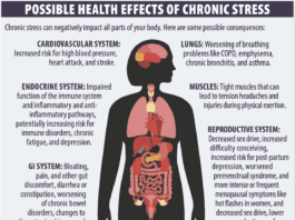 Stress and Your Health