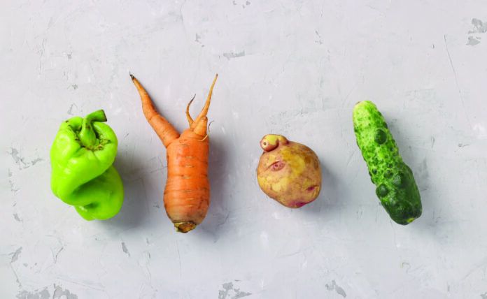 Ugly vegetables: pepper, carrot, potato and cucumber on light gray background, ugly food concept