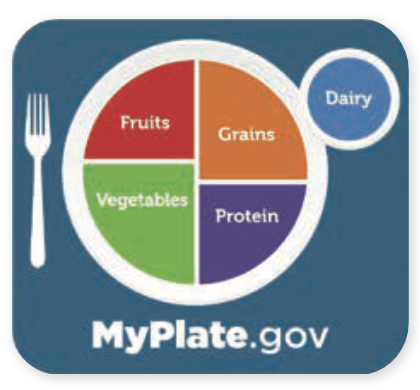 Your Guide to a Healthy “U.S.-Style” Dietary Pattern - Tufts Health ...