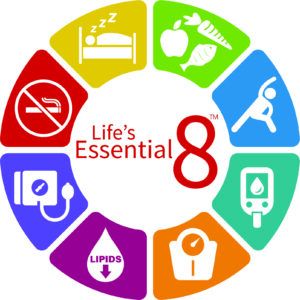 Preventing Stroke: New Guidelines Released