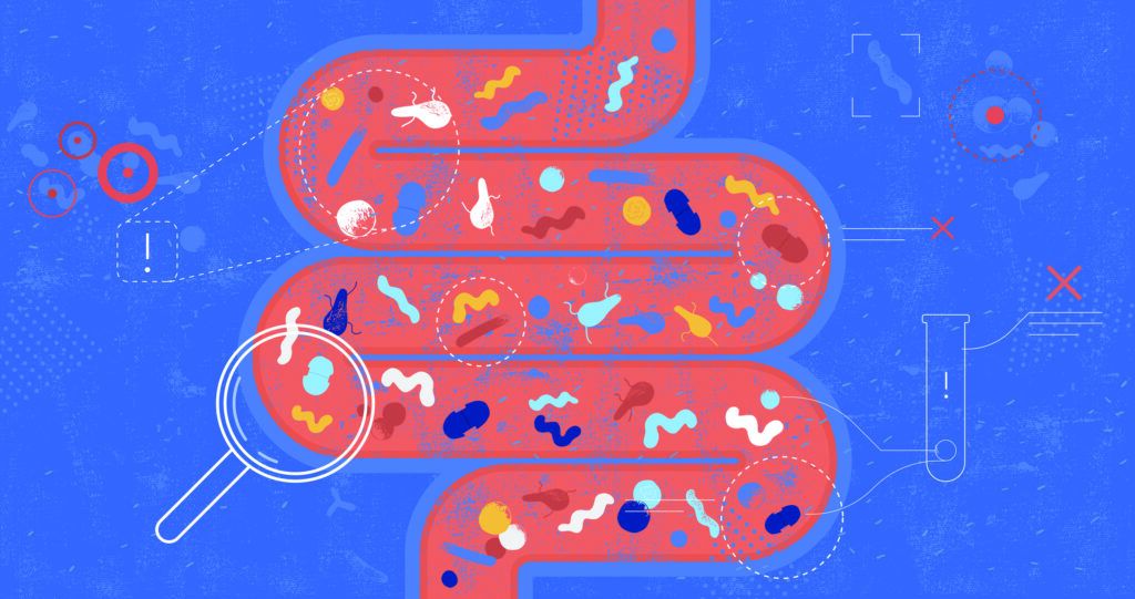 What You Eat Impacts Health by Shaping Your Gut Microbiome - Tufts ...