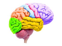 Newsbites: June 2025