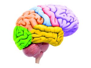 Newsbites: June 2025