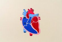 Test Your Heart Health Knowledge
