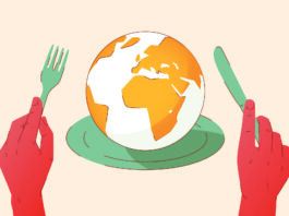 10 Choices that are Better for You…and the Planet