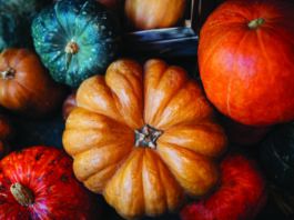 Pumpkin: Beyond Pie