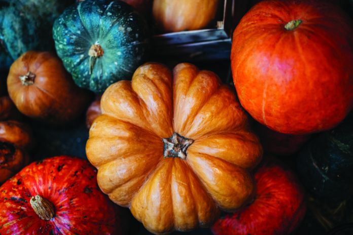 Colourful pumpkin background in different shapes