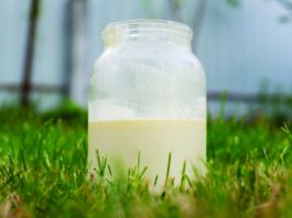 Raw vs. Pasteurized Milk