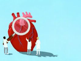 Cardiovascular Events Rarely Occur without Modifiable Risk Factors