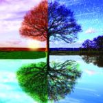 Extending Your “Healthspan”