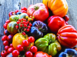 Tomato Time!