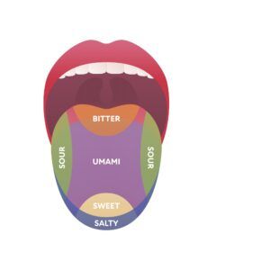 Taste Changes with Age